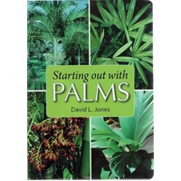 Starting Out With Palms