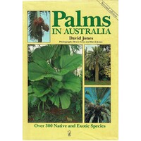 Palms In Australia