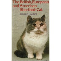 The British, European And American Shorthair Cat