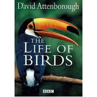 Birds Do It, Too. The Amazing Sex Life Of Birds