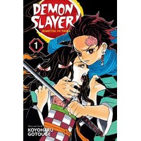 Demon Slayer. Kimetsu No Yaiba, Vol. 1
