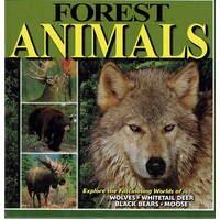 Forest Animals (Nature for Kids)