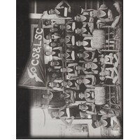 Vigilant And Victorious. A Community History Of The Collaroy Surf Life Saving Club 1911-1995