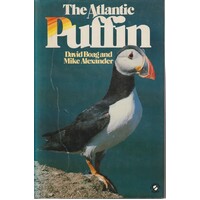 The Atlantic Puffin