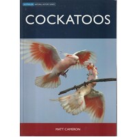 Cockatoos