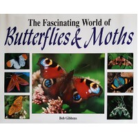 The Fascinating World Of Butterflies And Moths