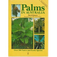 Palms In Australia