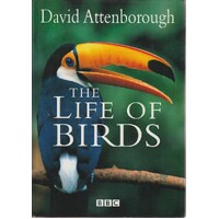 The Life Of Birds