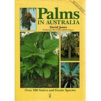 Palms In Australia