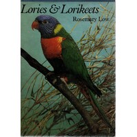 Lories And Lorikeets