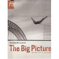 The Big Picture. Diary Of A Nation
