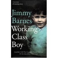 Working Class Boy