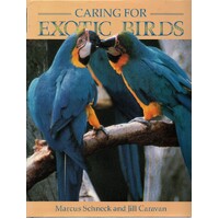 Caring For Exotic Birds