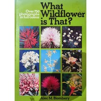 What Wildflower Is That