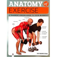 Anatomy Of Exercise