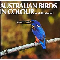 Australian Birds In Colour
