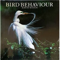 Bird Behaviour