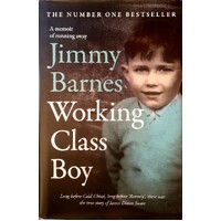 Working Class Boy