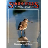Shorebirds In Australia