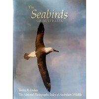 Seabirds Of Australia