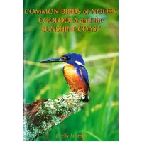 Common Birds Of Noosa Cooloola And The Sunshine Coast
