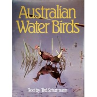 Australian Water Birds