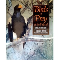 Birds Of Prey Of The World