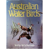 Australian Water Birds