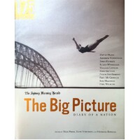 The Big Picture. Diary Of A Nation