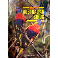 Focus On Australian Birds