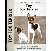 Toy Fox Terrier