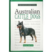 New Owner's Guide To Australian Cattle Dogs