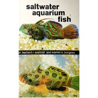 Saltwater Aquarium Fish