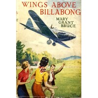 Wings Above Billabong