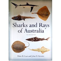Sharks And Rays Of Australia
