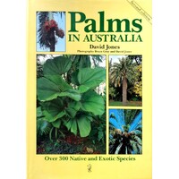 Palms In Australia