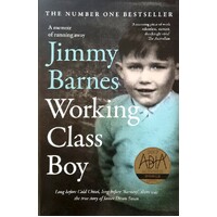 Working Class Boy