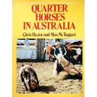 Quarter Horses In Australia