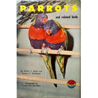 Parots And Related Birds