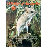 Wildlife Of Australia