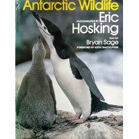 Antarctic Wildlife