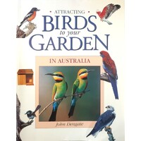 Attracting Birds To Your Garden In Australia