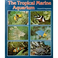Tropical Marine Aquarium