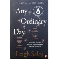 Any Ordinary Day. Blindsides, Resilience And What Happens After The Worst Day Of Your Life