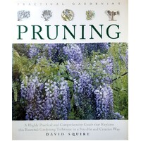 Pruning