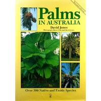 Palms In Australia