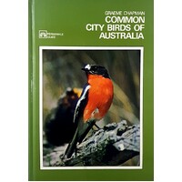 Common City Birds Of Australia.