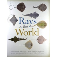 Rays Of The World