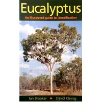 Eucalyptus