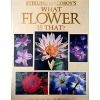 What Flower Is That